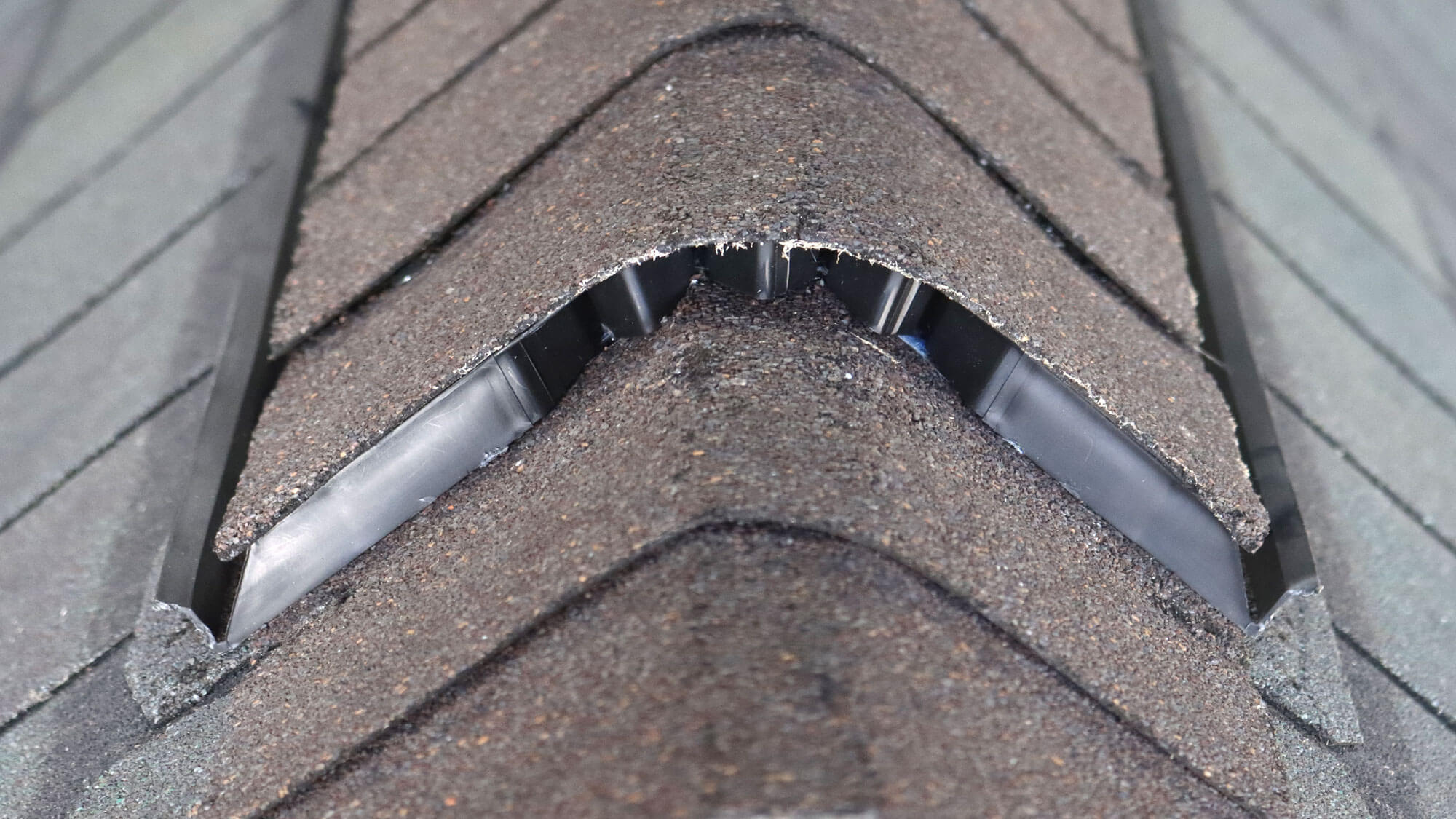 Ridge Guard System
