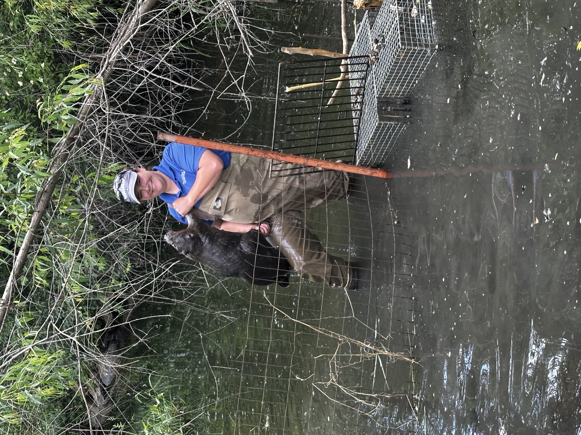 Wildlife Biologist