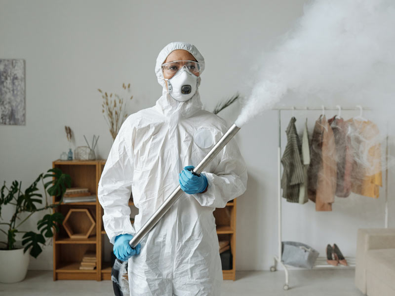 Pest Control Services