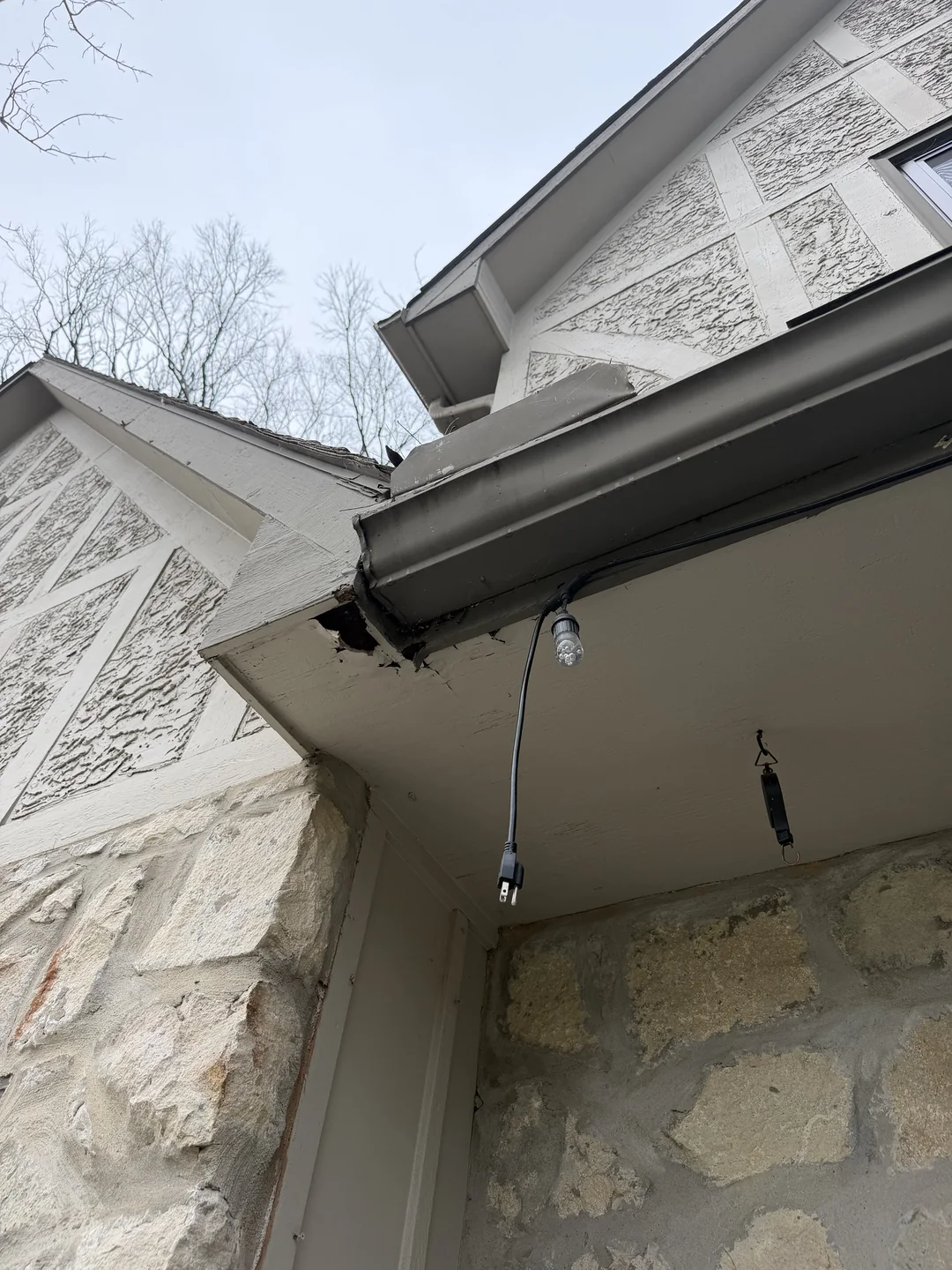 Soffit and roofline area receiving wildlife exclusion work