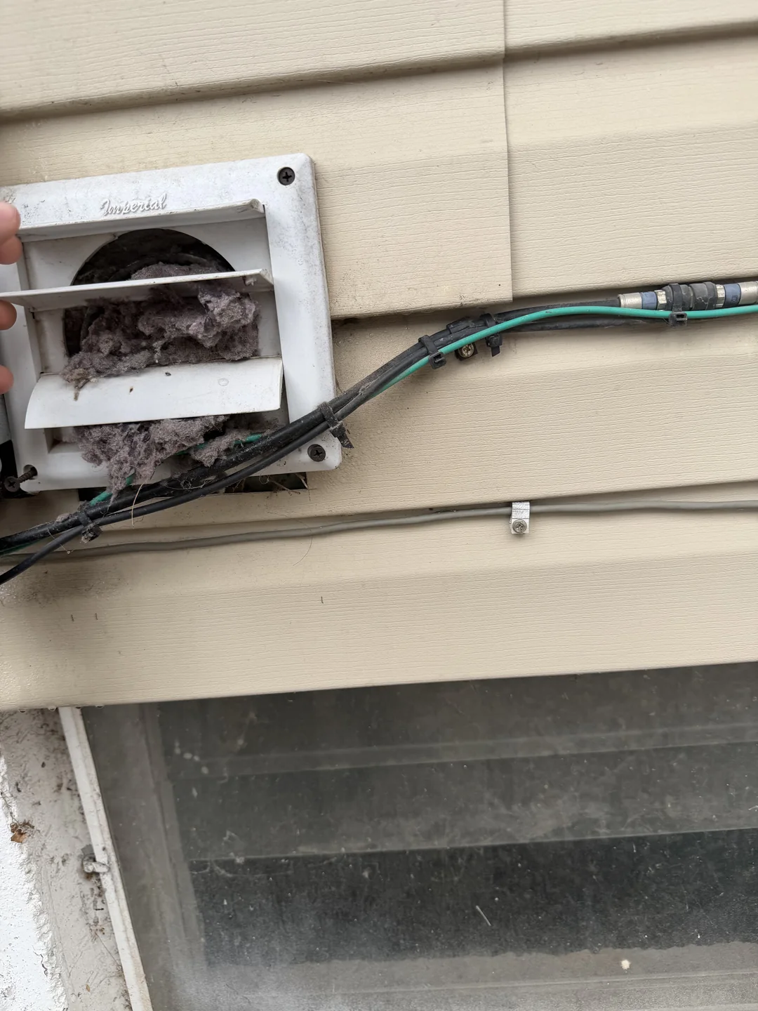 Damaged exterior vent that may allow wildlife entry