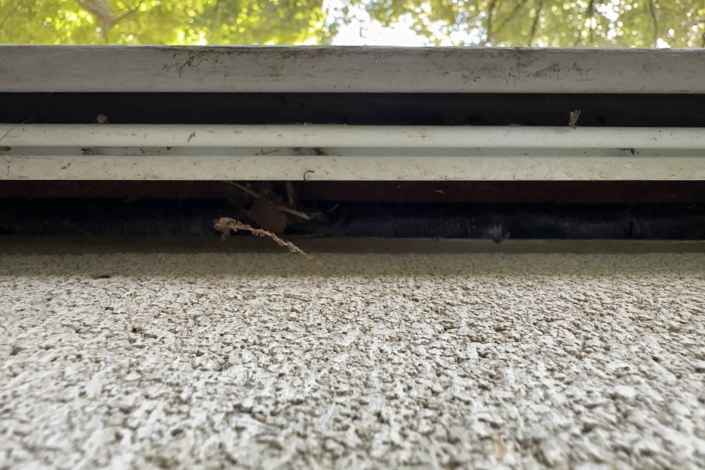 Trapper Shield Rodent Guard