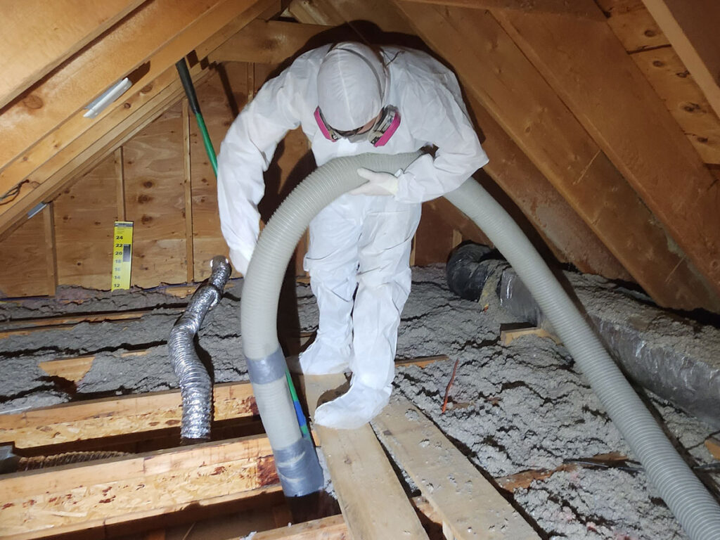Safe Insulation Removal