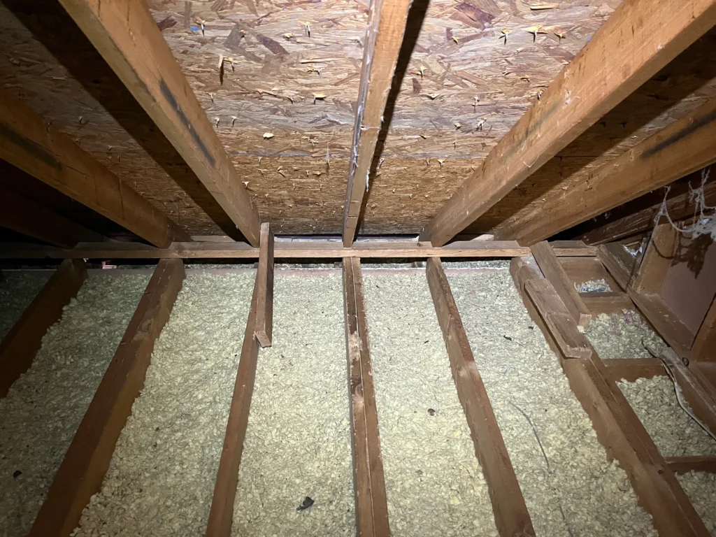 Attic Cleaning & Sanitizing