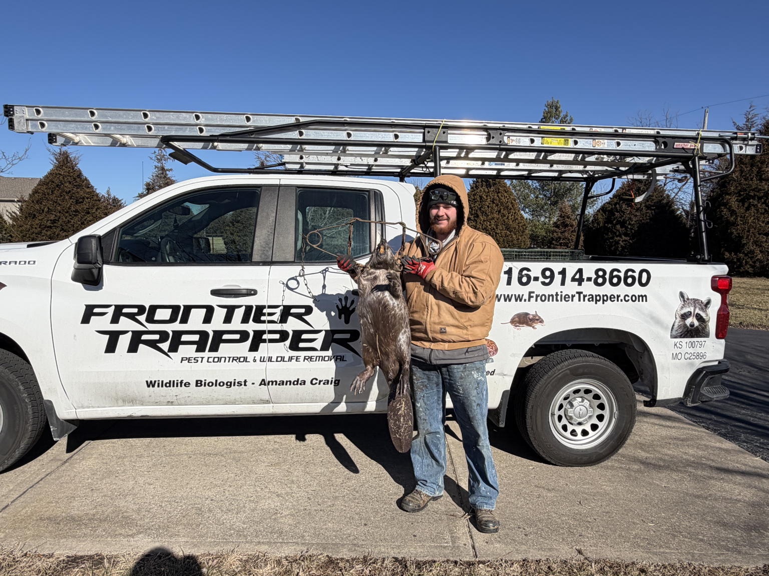 Wildlife Removal Service