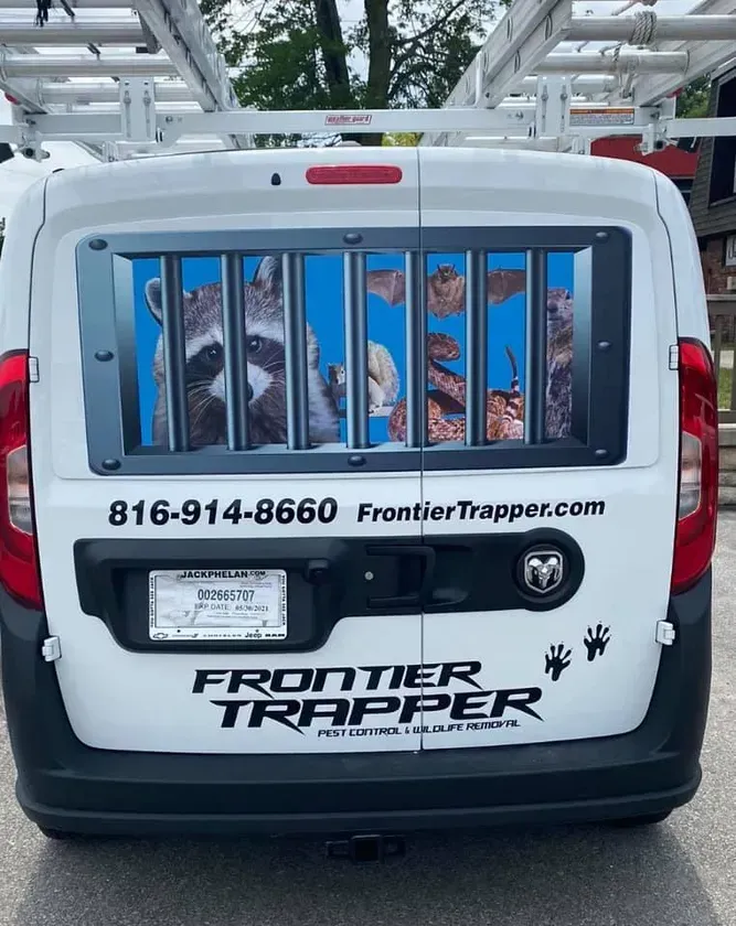 Humane Squirrel Removal